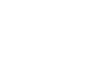 Ruta BIP